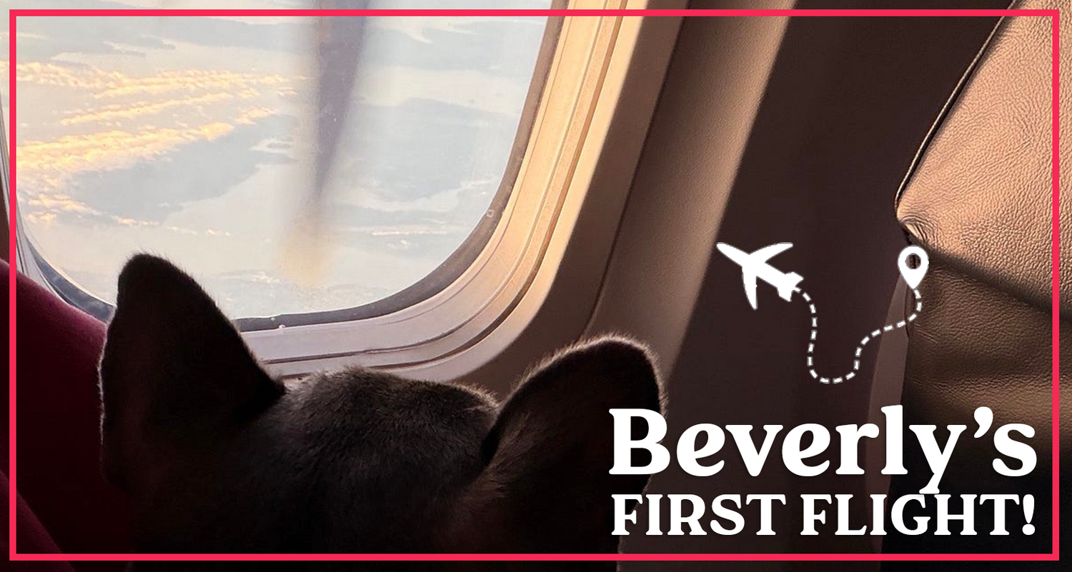 Beverly's First Flight!