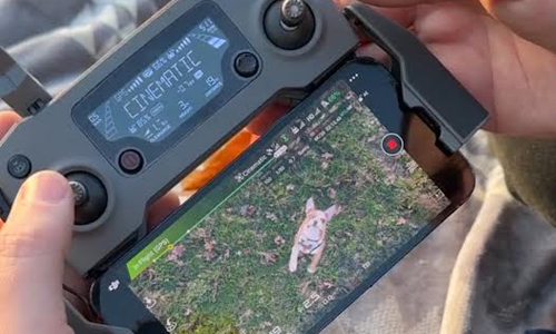 Anyone Can Be a Content Creator