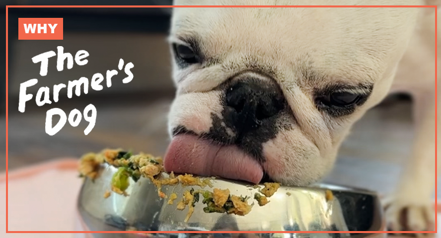 Farmers best dog food best sale