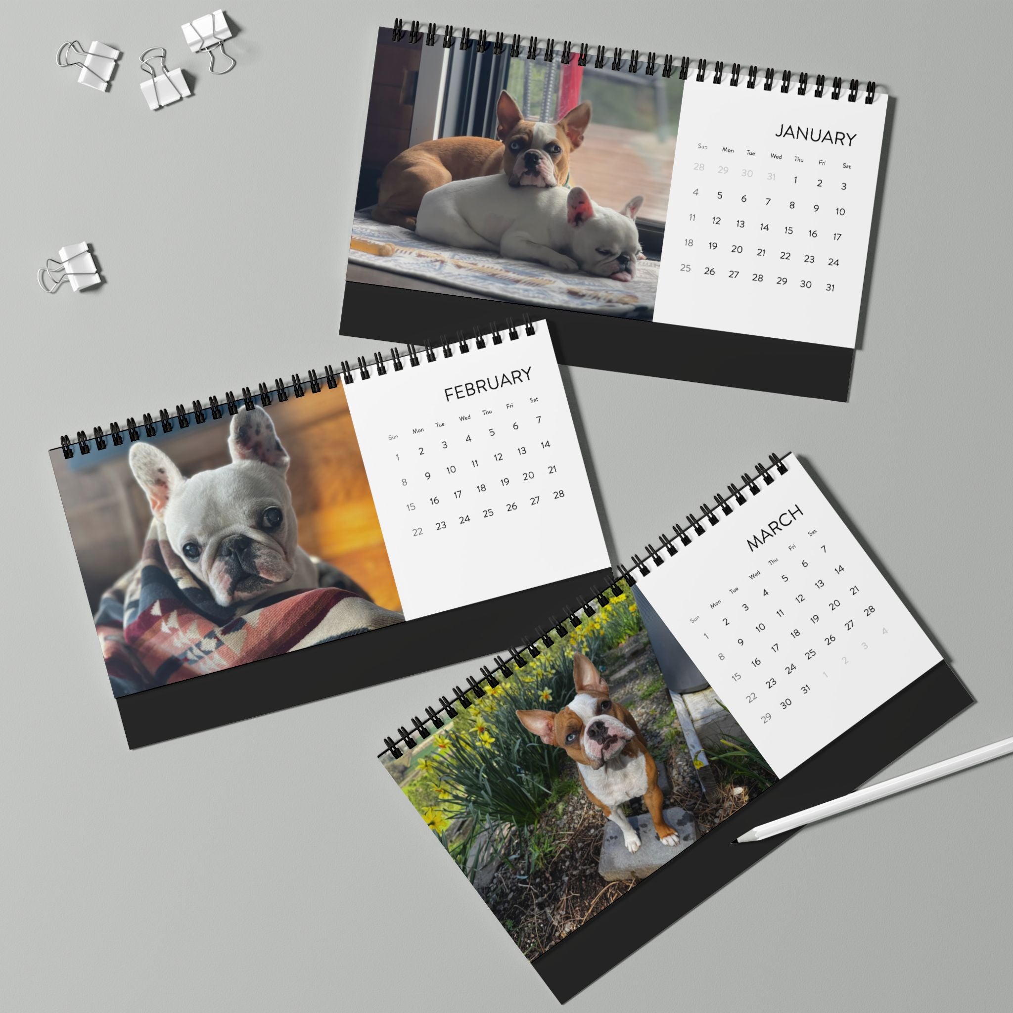 2026 Pardon Thy French Desktop Calendar