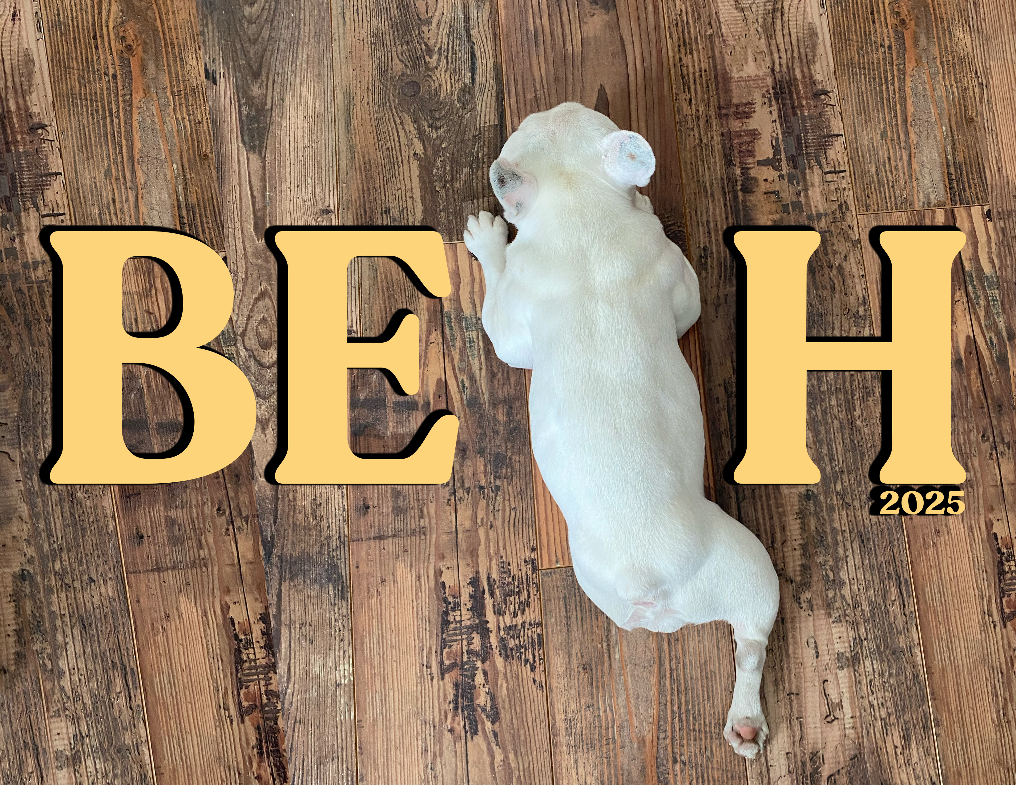 2025 Pardon Thy French Calendar -