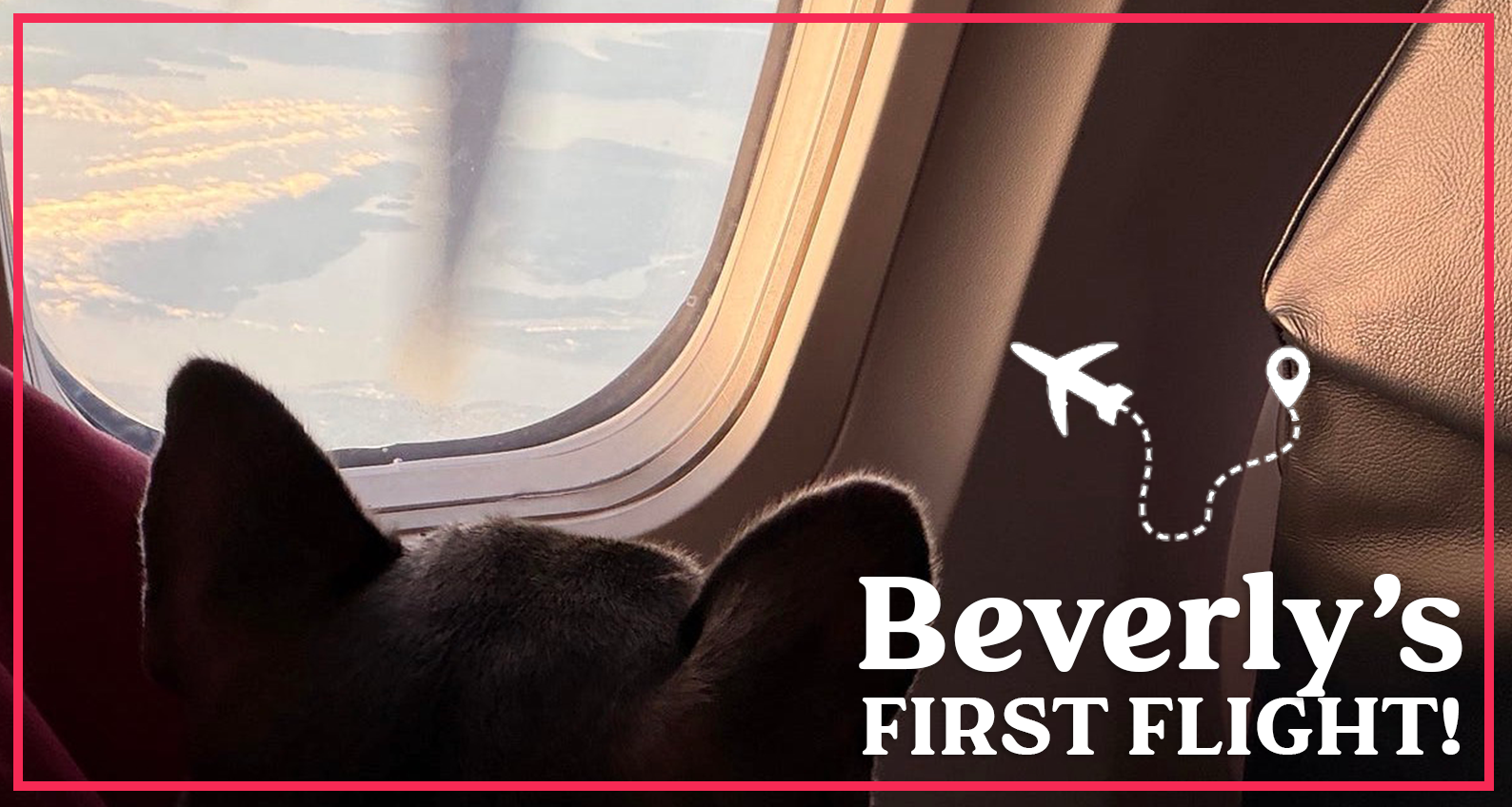 Beverly's First Flight!