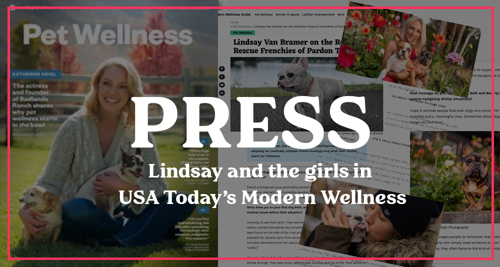 From Beth to Beverly: Honored to Be Featured in USA TODAY's National Pet Wellness Campaign