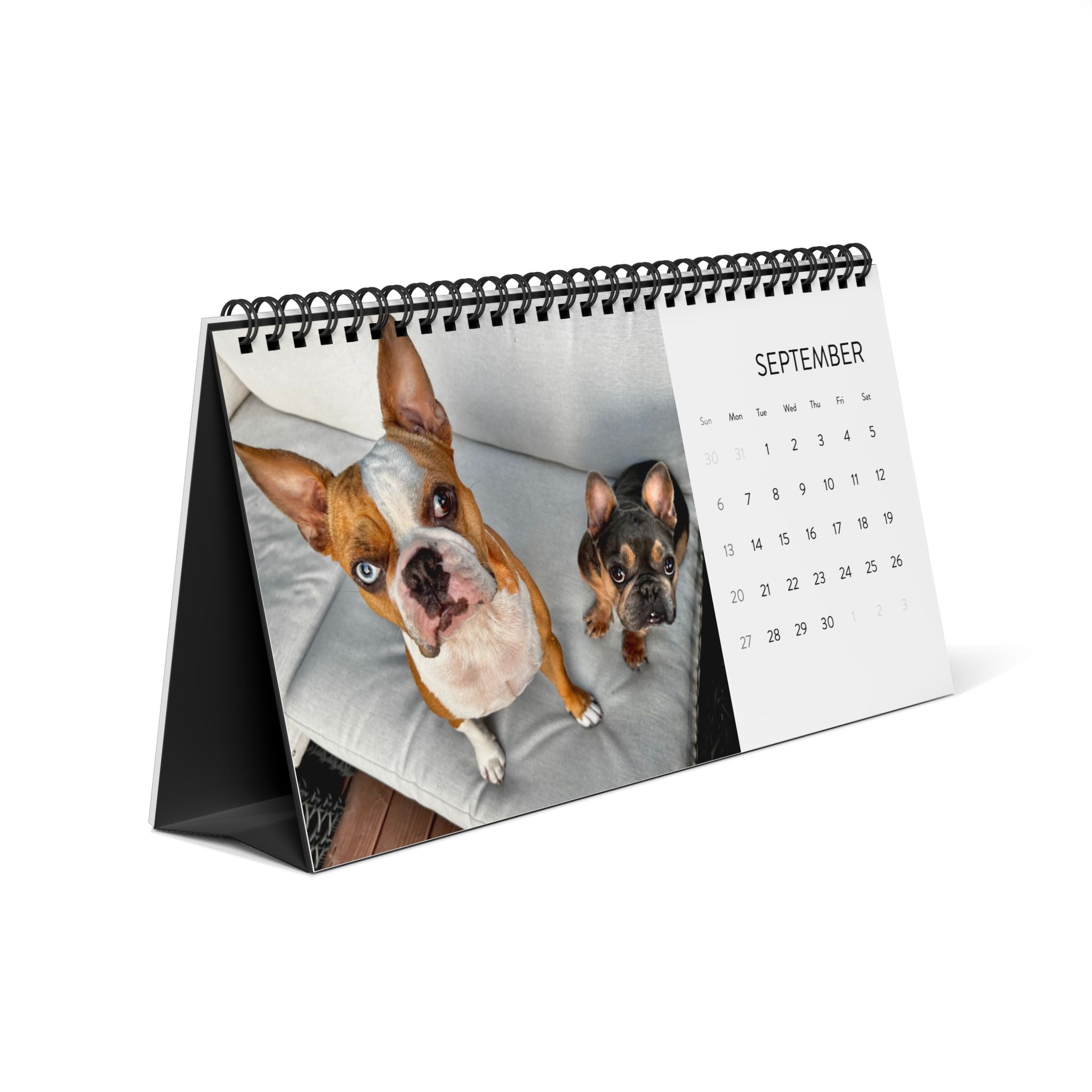 2026 Pardon Thy French Desktop Calendar